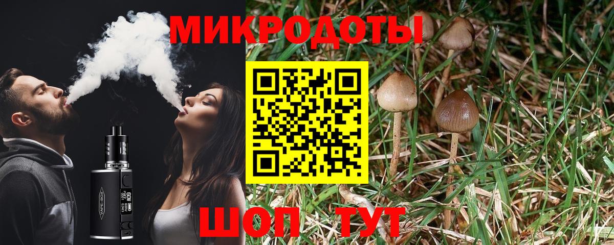 Кириши  Галлюциногенные грибы мухоморы  Вход с VPN  Галлюциногенные грибы Magic Shrooms 