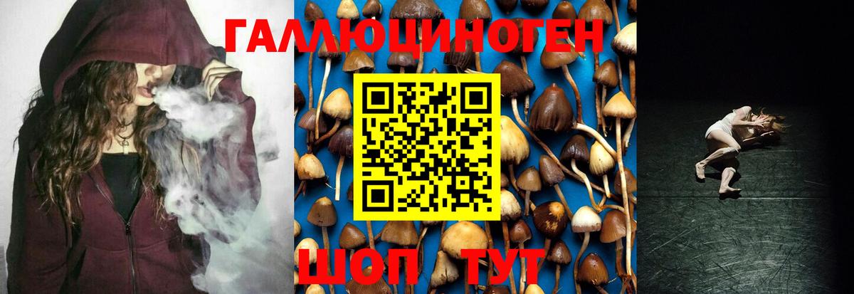 Галлюциногенные грибы MAGIC MUSHROOMS Кириши